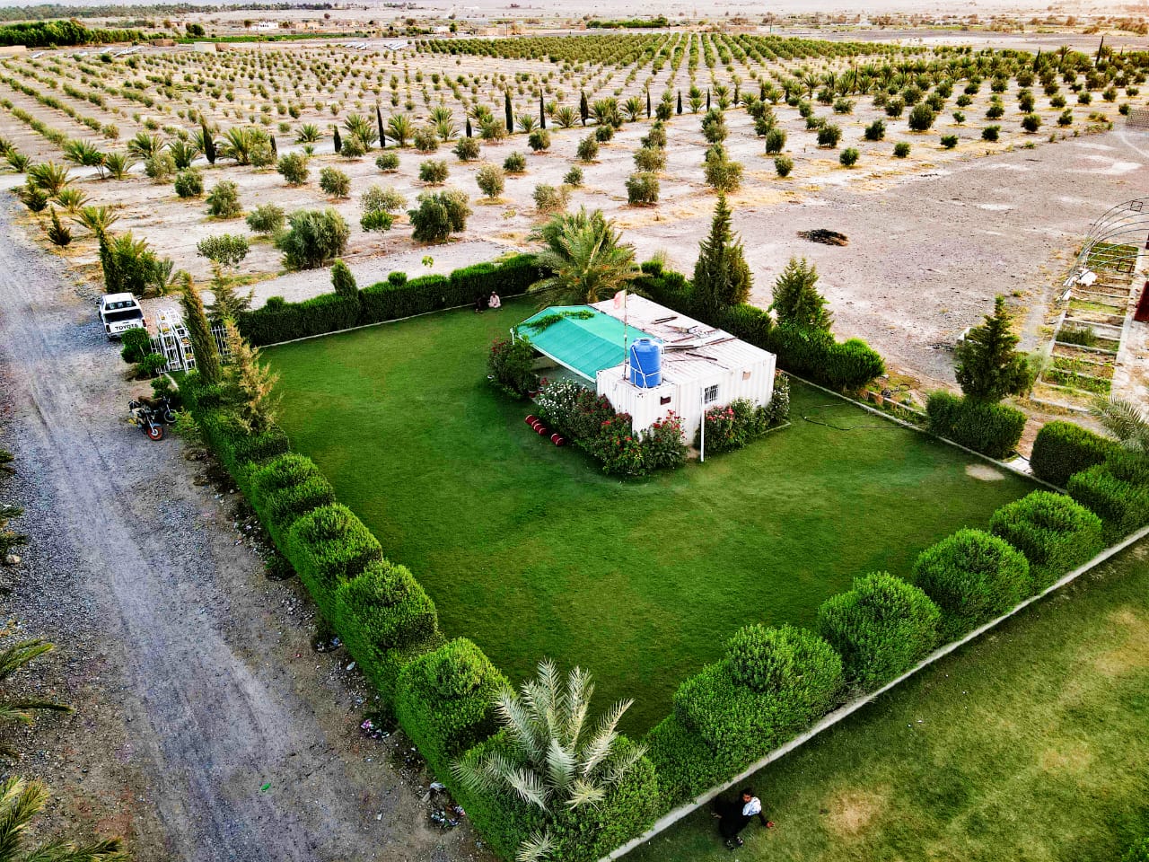 Olive Khuzdar